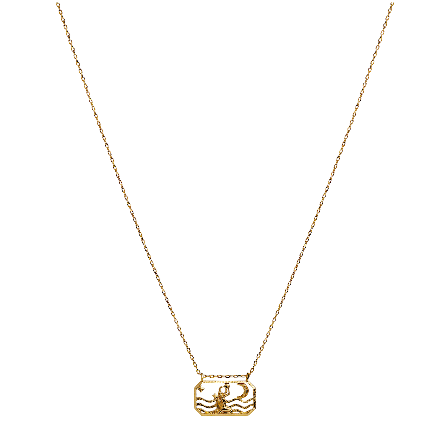 Zodiac Aquarius Necklace 20. Jan - 18. Feb