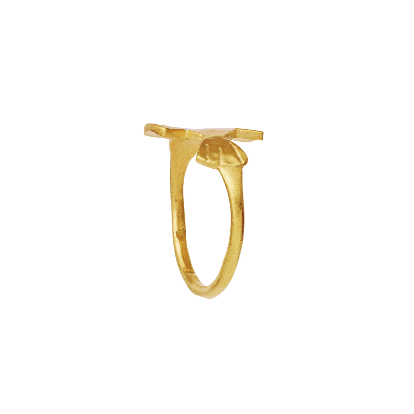 Fishpond Ring