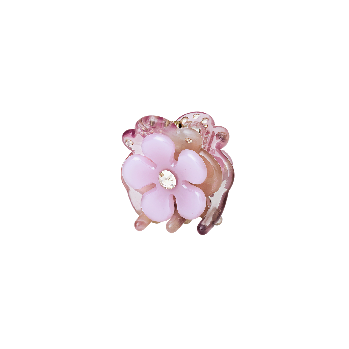 Kalina Orchid