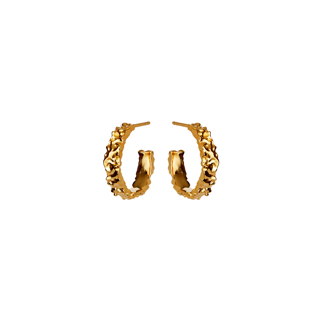 Aio Medium Earrings