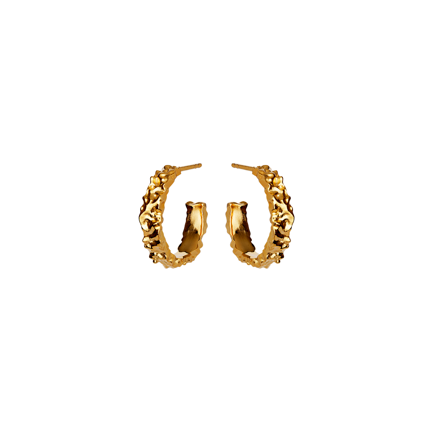 Aio Medium Earrings