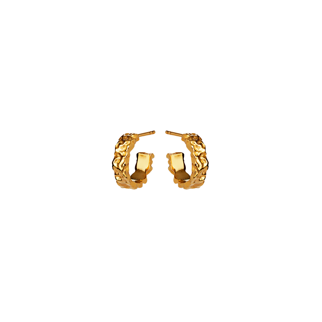 Aio Petite Earrings