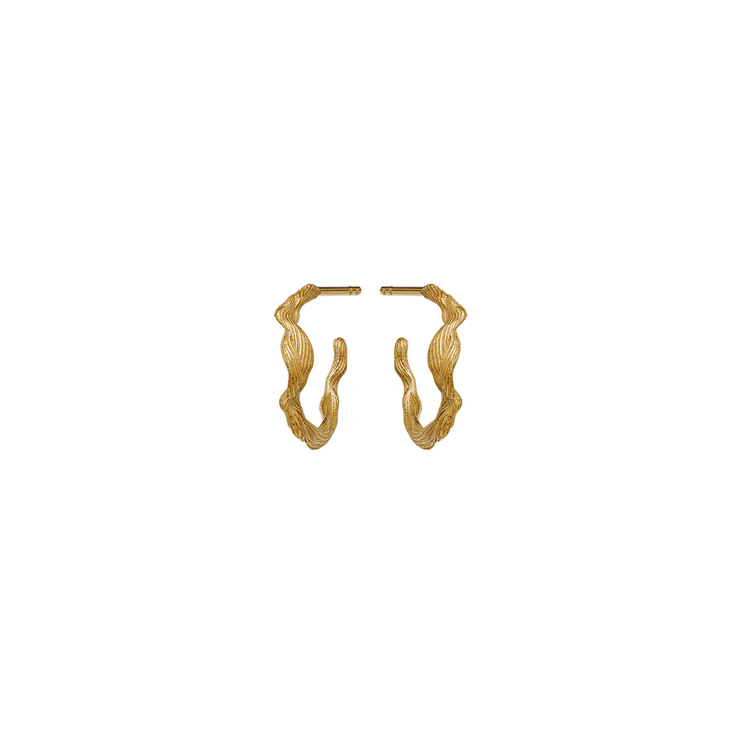 Ara Earrings