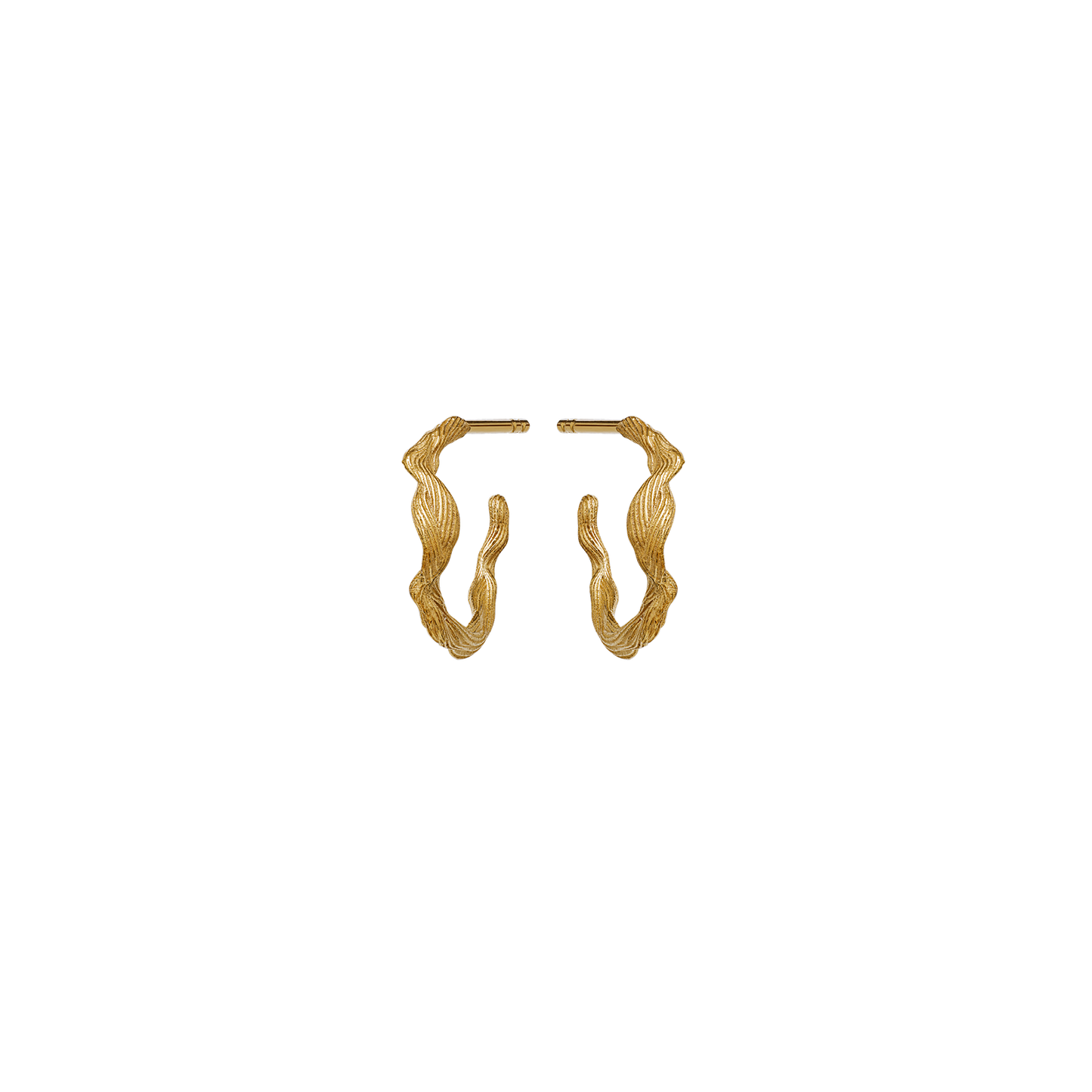 Ara Earrings
