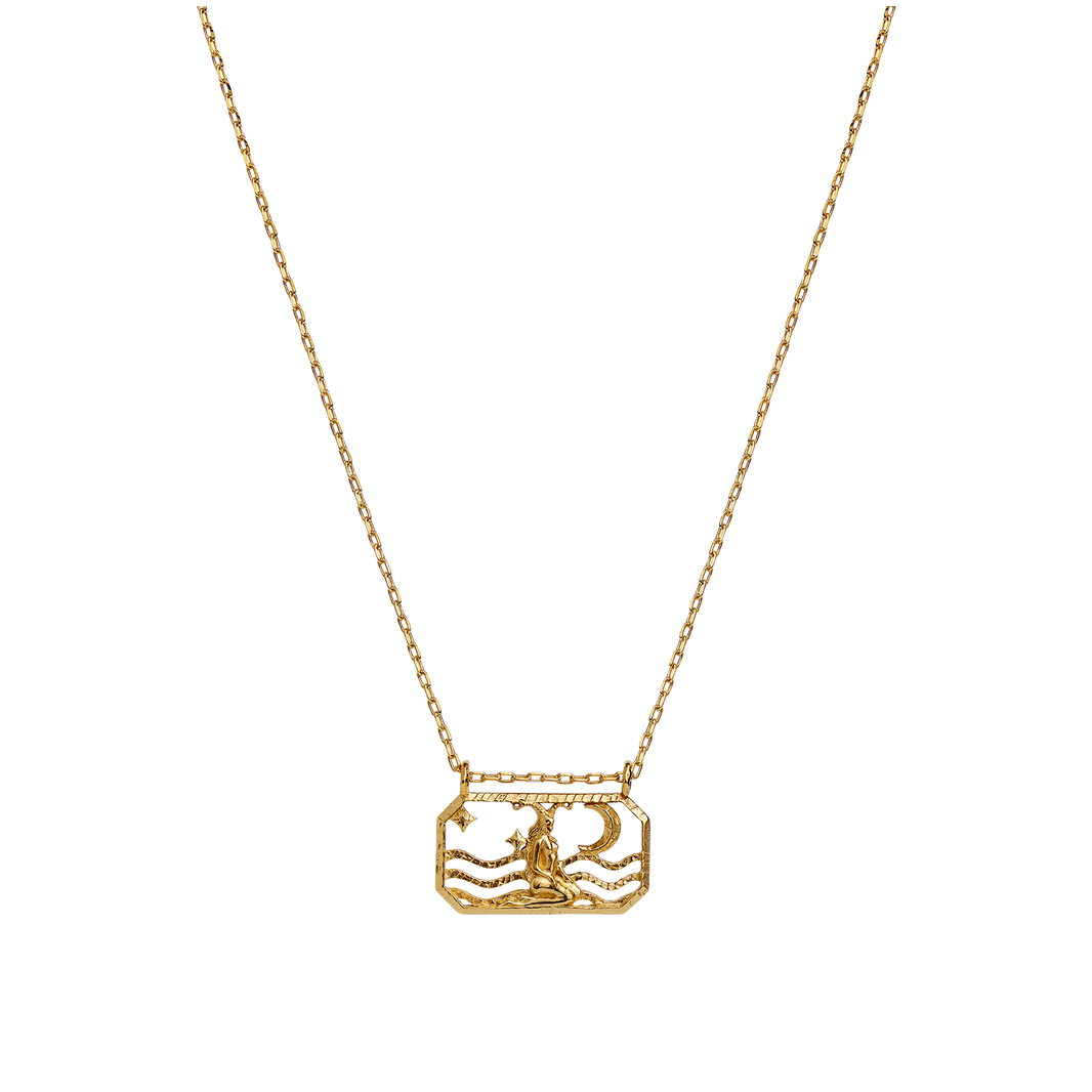 Zodiac Capricorn Necklace 22. Dec - 19. Jan