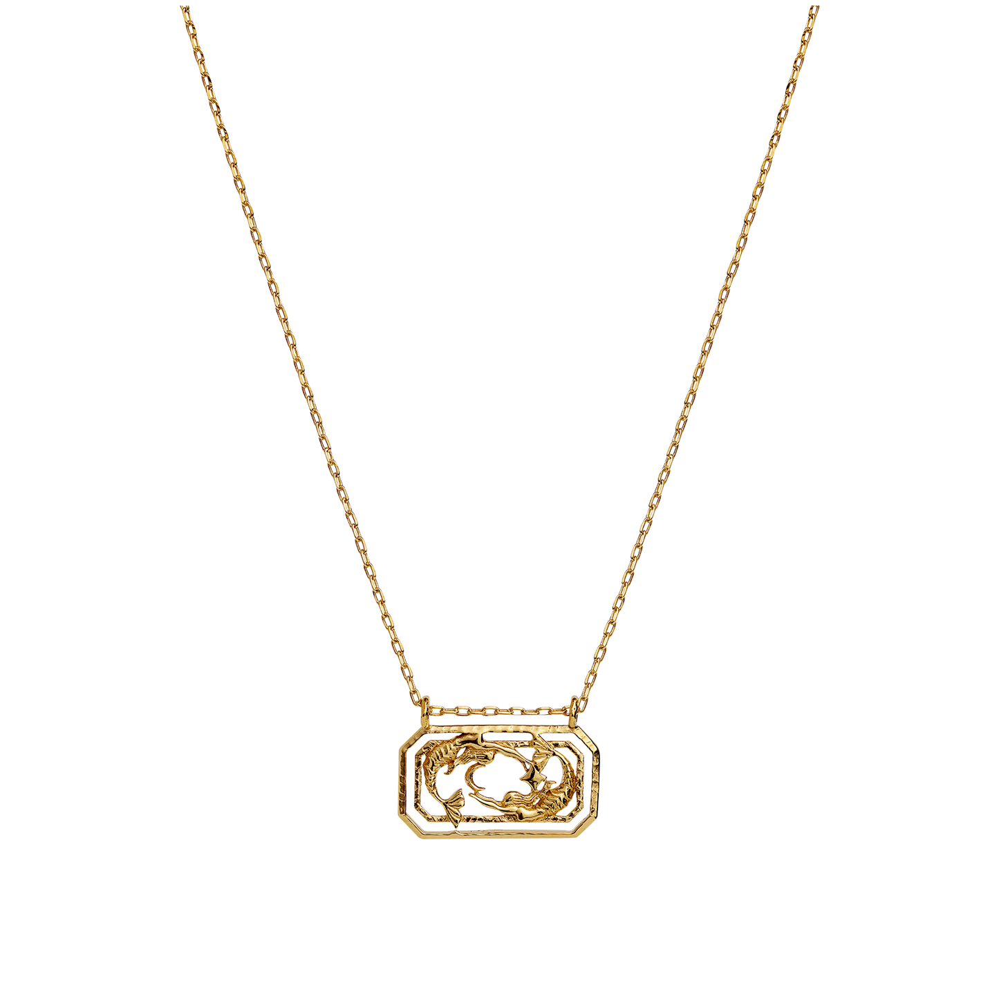 Zodiac Pisces Necklace 19. Feb - 20. Mar