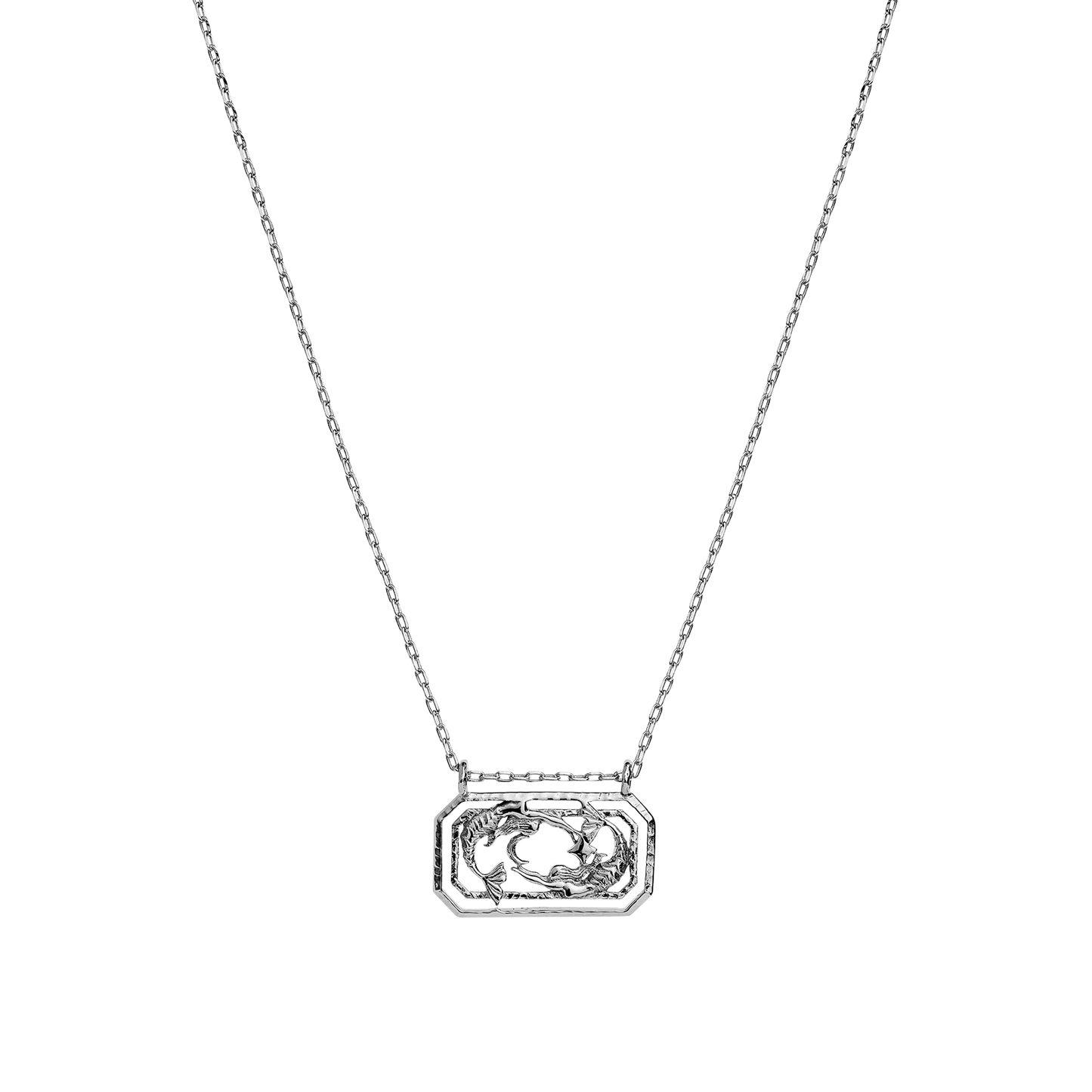 Zodiac Pisces Necklace 19. Feb - 20. Mar